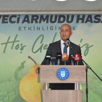 Armut bahçelerinde hasat bereketi 