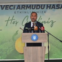 Armut bahçelerinde hasat bereketi 