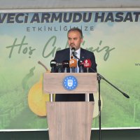 Armut bahçelerinde hasat bereketi 