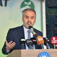 Armut bahçelerinde hasat bereketi 