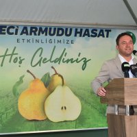 Armut bahçelerinde hasat bereketi 