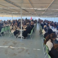 Üniversitelilerin deniz sefası 