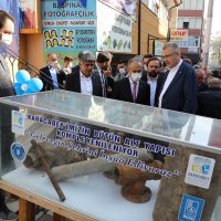 Sabrın sonu sağlıklı su  
