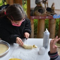 Çocuklar hayvanlara pasta hazırladı 