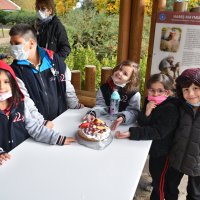 Çocuklar hayvanlara pasta hazırladı 