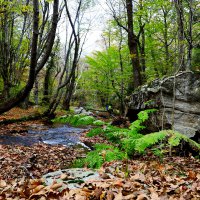 Bursa, Kasım’da başka güzel 