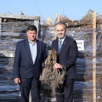 Bursa toprağı Büyükşehir’le bereketleniyor 