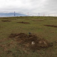 40 bin öğretmene 40 bin fidan 