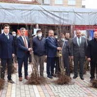 Harmancık ayva ile markalaşacak 