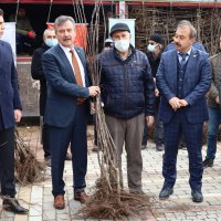 Harmancık ayva ile markalaşacak 