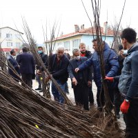 Harmancık ayva ile markalaşacak 