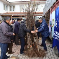Harmancık ayva ile markalaşacak 