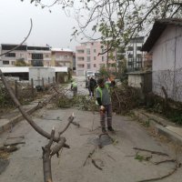 Büyükşehir’de lodos mesaisi 