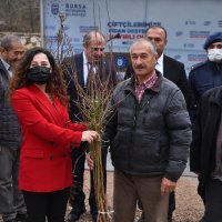 Dağ yöresi meyvecilikle kalkınacak 