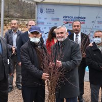 Dağ yöresi meyvecilikle kalkınacak 