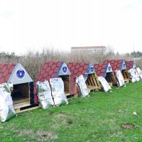 Can dostlarına Büyükşehir şefkati 