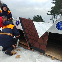 Sokak hayvanlarına Büyükşehir şefkati 