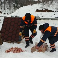 Sokak hayvanlarına Büyükşehir şefkati 