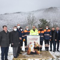 Sokak hayvanları Bursa’da sahipsiz değil 