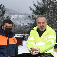Sokak hayvanları Bursa’da sahipsiz değil 