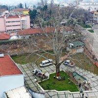 Bursa’nın çınarları koruma altında 