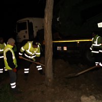 Mudanya yolunda ağaç seferberliği 