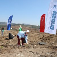 Kültür başkenti fidanları toprakla buluştu 