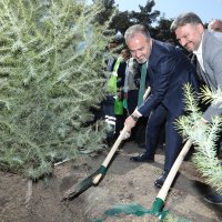 Kültür başkenti fidanları toprakla buluştu 