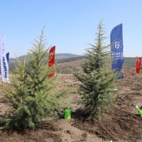Kültür başkenti fidanları toprakla buluştu 