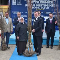 Kelesli üreticiye meyve fidanı ve yem tohumu desteği 