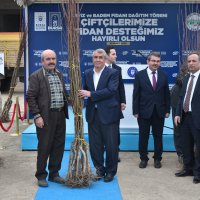 Kelesli üreticiye meyve fidanı ve yem tohumu desteği 
