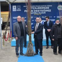 Kelesli üreticiye meyve fidanı ve yem tohumu desteği 