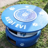 Eski lastikler kedilere ev oldu 