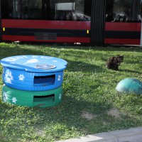 Eski lastikler kedilere ev oldu 