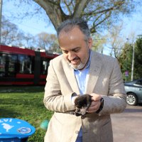 Eski lastikler kedilere ev oldu 