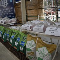 Büyükorhanlı çiftçiye fidan ve tohum desteği 