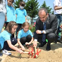 Minikler toprakla buluştu  