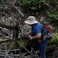 Doğaseverlerin yeni rotası: İnegöl 