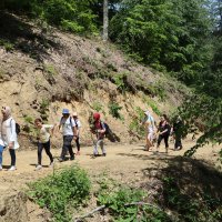 Doğaseverlerin yeni rotası: İnegöl 