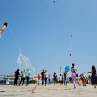 Mudanya semalarında atıklar uçtu 