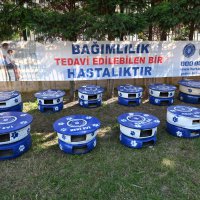 GADEM, sokak hayvanları için seferber  