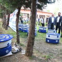 GADEM, sokak hayvanları için seferber  