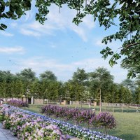 Gökdere yeşile bezeniyor 