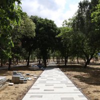 Gökdere yeşile bezeniyor 