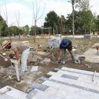 Gökdere yeşile bezeniyor 