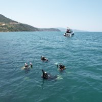 Gemlik Körfezi’nde ‘bayram' dalışı 
