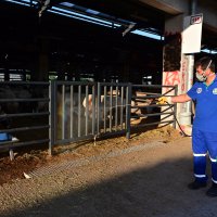 Bayram öncesi vatandaşa Başkan Aktaş morali  