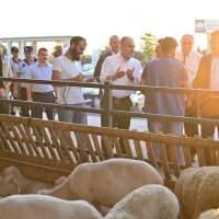 Bayram öncesi vatandaşa Başkan Aktaş morali  