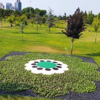 ‘Srebrenitsa Çiçeği’ Hüdavendigar’da  