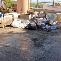 Mudanya'da karasineğin nedeni ihmal 